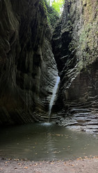 Similar image 22338549