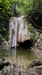 Similar image 22338554