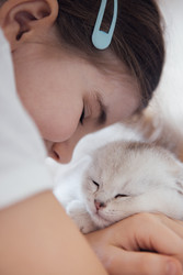 Similar image 22334818