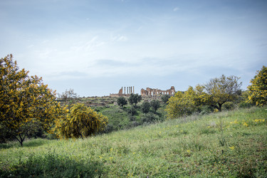 Similar image 22334850