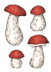 Similar image 22340985