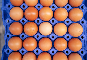 Similar image 22334894