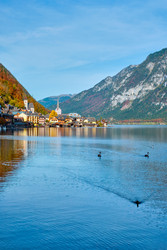 Similar image 22337837