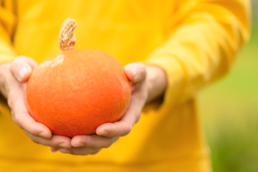 Similar image 22339117