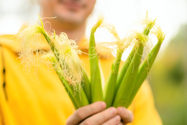 Similar image 22339119