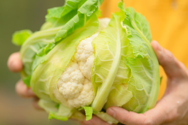 Similar image 22339121