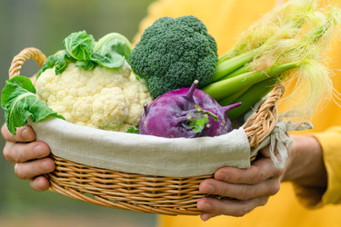 Similar image 22339122