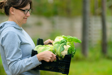 Similar image 22339123