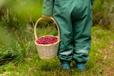 Similar image 22339126