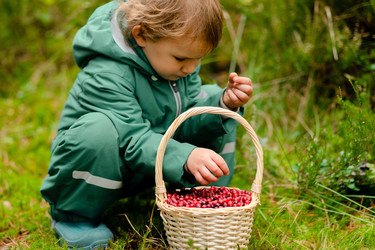 Similar image 22339127