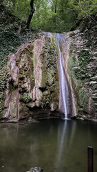 Similar image 22338555