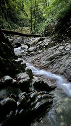 Similar image 22338557