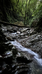 Similar image 22338558