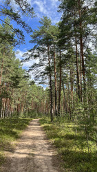 Similar image 22335253