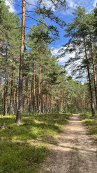 Similar image 22335254