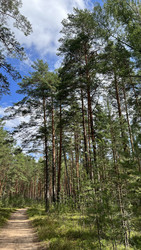 Similar image 22335255