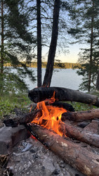 Similar image 22335257