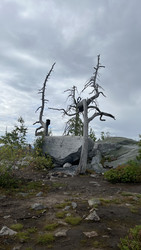 Similar image 22335262