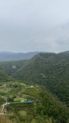 Similar image 22335274