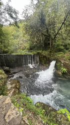 Similar image 22335275