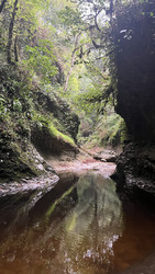 Similar image 22335278