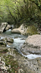 Similar image 22335281