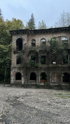 Similar image 22335293