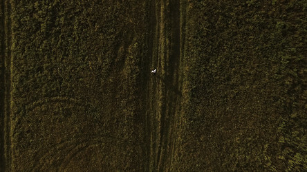 Similar image 22335787