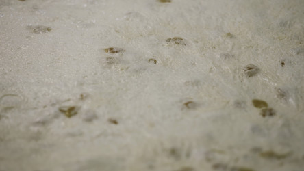 Similar image 22335792