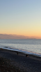 Similar image 22335303