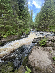 Similar image 22335309