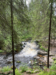 Similar image 22335310