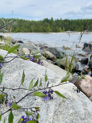 Similar image 22335312