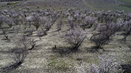 Similar image 22335809