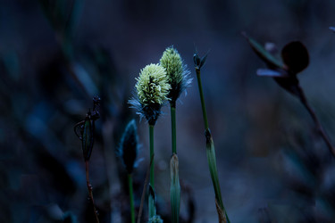 Similar image 22333787