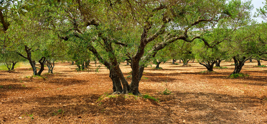 Similar image 22337942