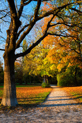 Similar image 22337946