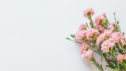 Similar image 22340882