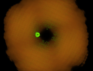 Similar image 22341572