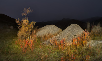 Similar image 22333949