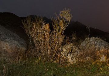 Similar image 22333950