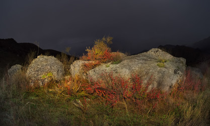 Similar image 22333951