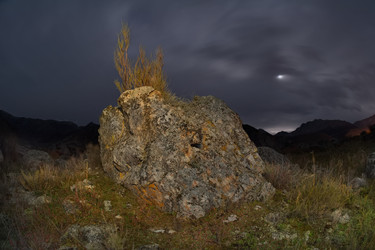 Similar image 22333952