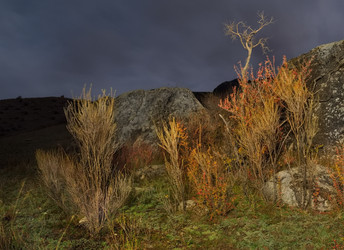 Similar image 22333953