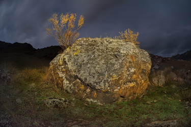 Similar image 22333954