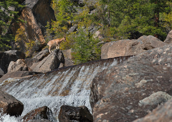 Similar image 22333956