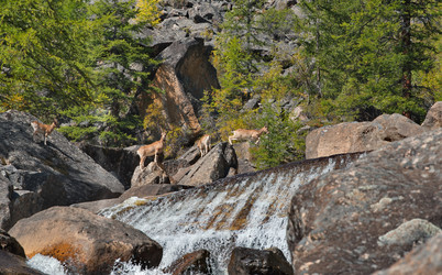 Similar image 22333957