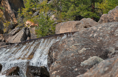 Similar image 22333958