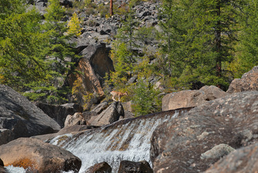 Similar image 22333959