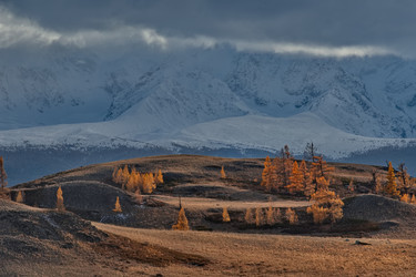 Similar image 22333960